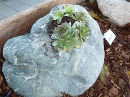 Kunsthanderwerkermarkt11